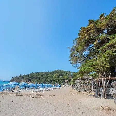 Le Lavandou Pramousquier Location Uniquement Du Samedi Au Samedi En Juillet Aout Et Septembre Entiere Acces Direct Et Piscine Collective Ouverte Du 1er Mai Au 30 Septembre Clim Wifi Villa